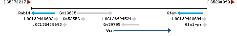 Genomic Context describing neighboring genes