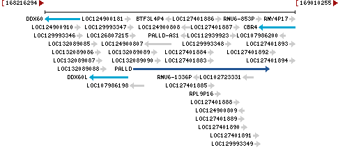 Genomic Context describing neighboring genes