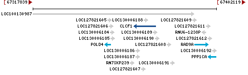 Genomic Context describing neighboring genes