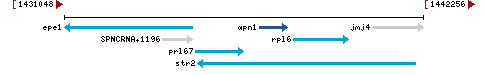 Genomic Context describing neighboring genes