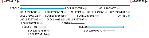 Genomic Context describing neighboring genes