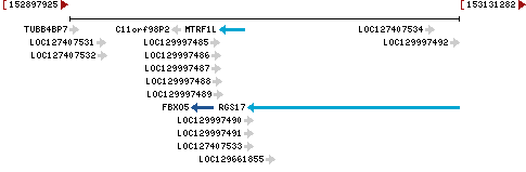 Genomic Context describing neighboring genes