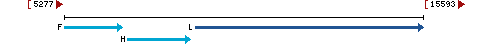 Genomic Context describing neighboring genes