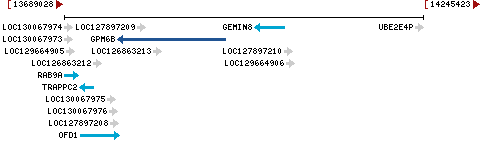 Genomic Context describing neighboring genes