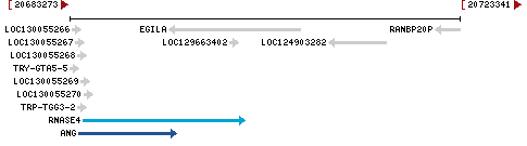 Genomic Context describing neighboring genes