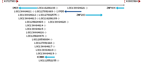 Genomic Context describing neighboring genes