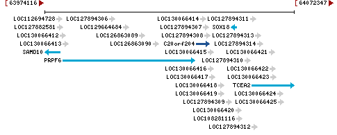 Genomic Context describing neighboring genes