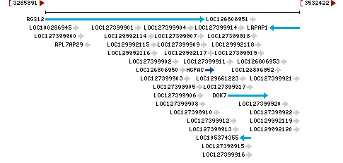 Genomic Context describing neighboring genes