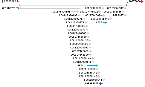 Genomic Context describing neighboring genes