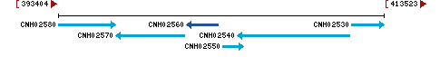 Genomic Context describing neighboring genes