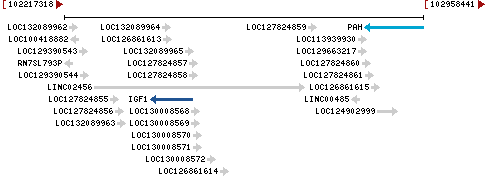 Genomic Context describing neighboring genes