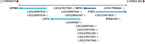 Genomic Context describing neighboring genes