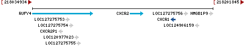 Genomic Context describing neighboring genes