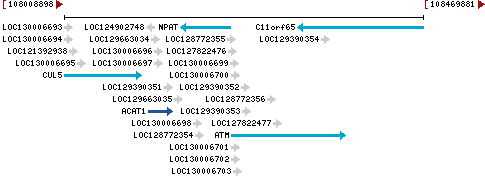 Genomic Context describing neighboring genes