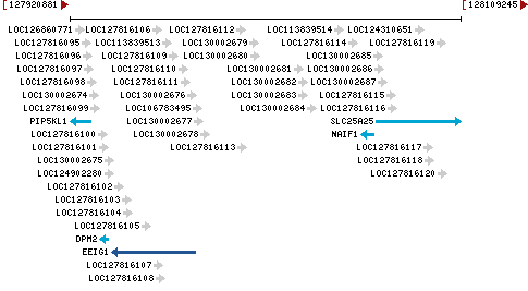 Genomic Context describing neighboring genes