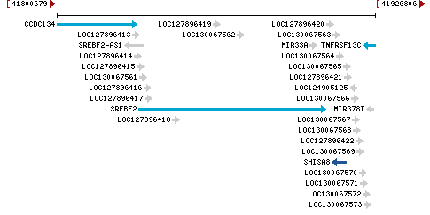 Genomic Context describing neighboring genes