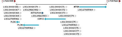 Genomic Context describing neighboring genes