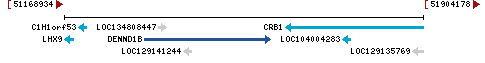 Genomic Context describing neighboring genes