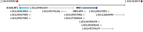 Genomic Context describing neighboring genes