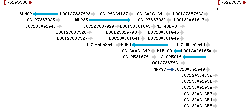 Genomic Context describing neighboring genes