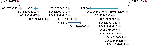 Genomic Context describing neighboring genes