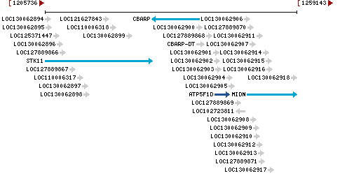 Genomic Context describing neighboring genes