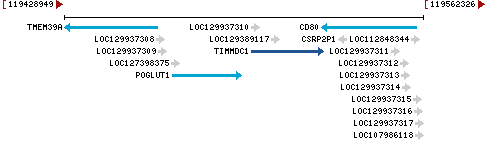 Genomic Context describing neighboring genes