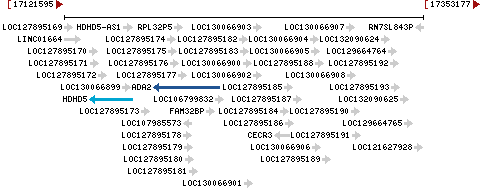 Genomic Context describing neighboring genes