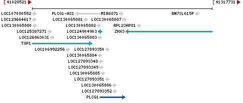 Genomic Context describing neighboring genes