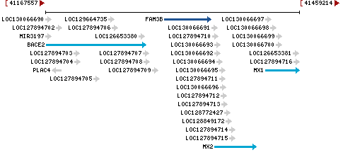 Genomic Context describing neighboring genes