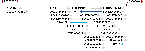 Genomic Context describing neighboring genes