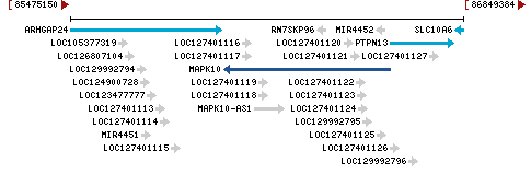 Genomic Context describing neighboring genes