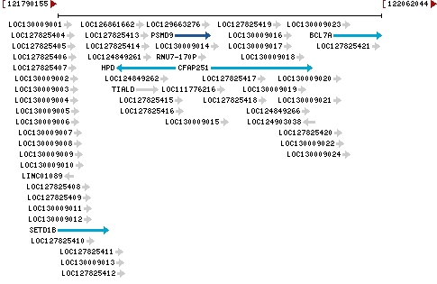 Genomic Context describing neighboring genes