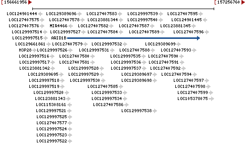 Genomic Context describing neighboring genes