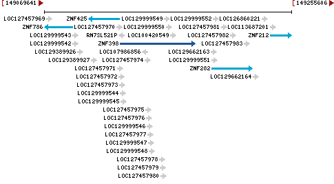 Genomic Context describing neighboring genes