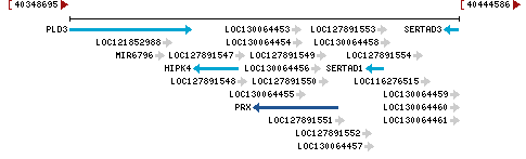 Genomic Context describing neighboring genes