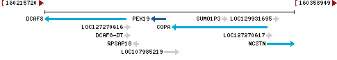 Genomic Context describing neighboring genes