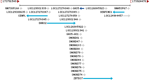 Genomic Context describing neighboring genes