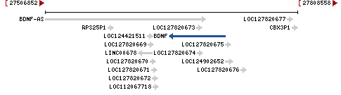 Genomic Context describing neighboring genes