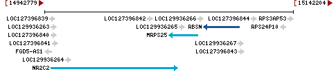 Genomic Context describing neighboring genes