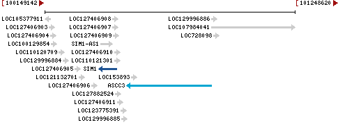 Genomic Context describing neighboring genes