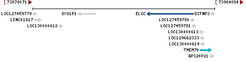 Genomic Context describing neighboring genes