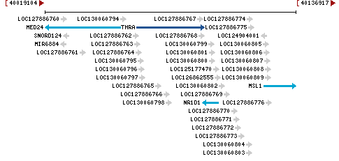 Genomic Context describing neighboring genes