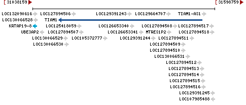 Genomic Context describing neighboring genes