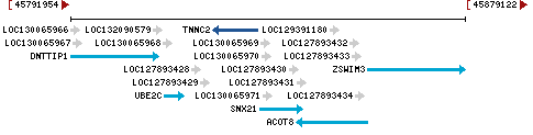 Genomic Context describing neighboring genes