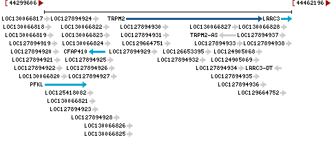 Genomic Context describing neighboring genes