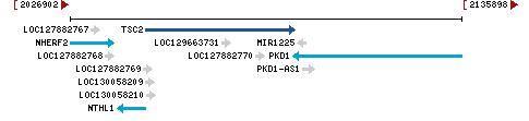 Genomic Context describing neighboring genes