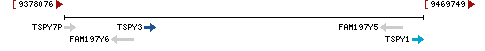 Genomic Context describing neighboring genes