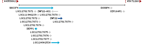 Genomic Context describing neighboring genes