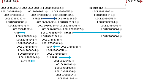 Genomic Context describing neighboring genes